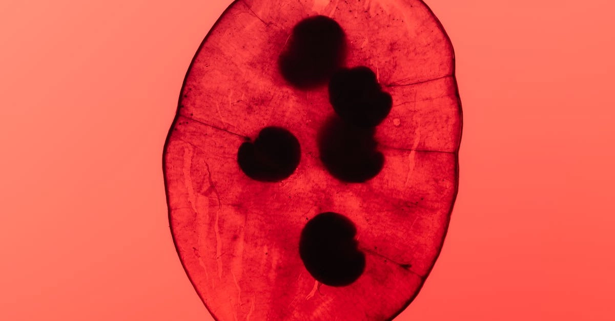 Жизненный баланс и гармония для души