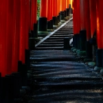 Gates of Olympus слот игра с Зевсом и олимпийскими богами