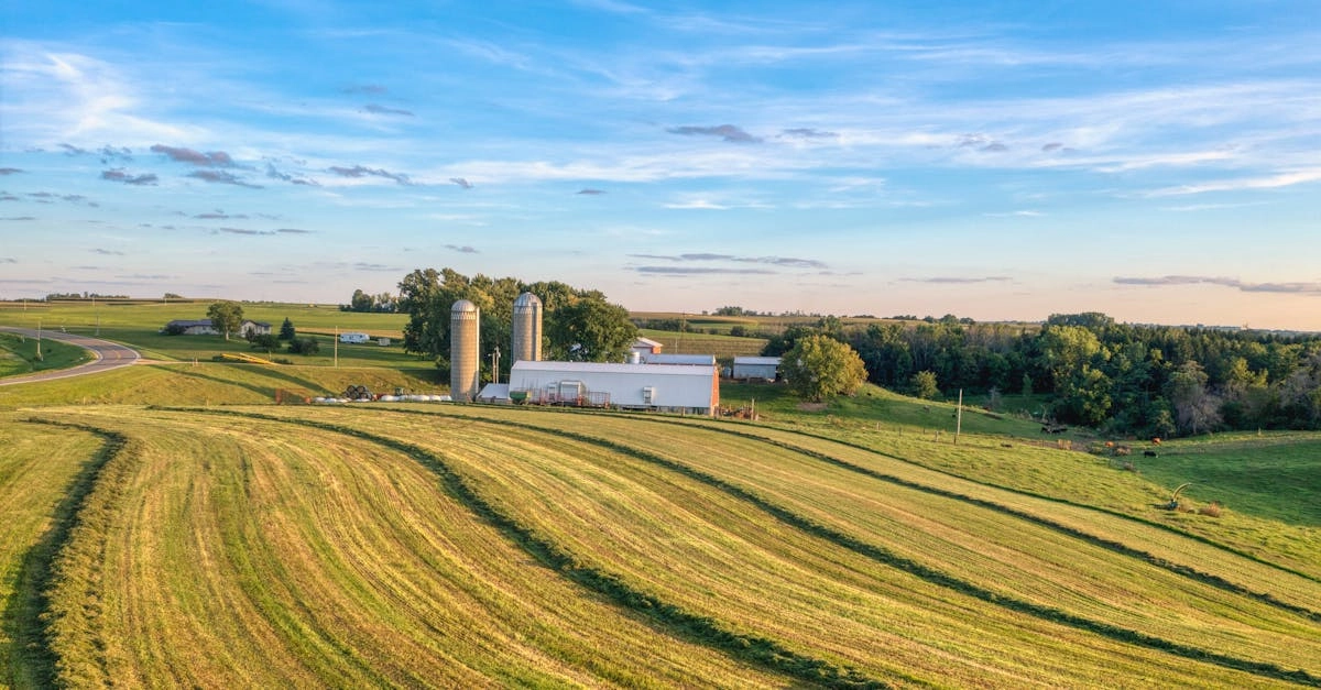 Слот игра Bigger Barn House Bonanza с фермерской тематикой