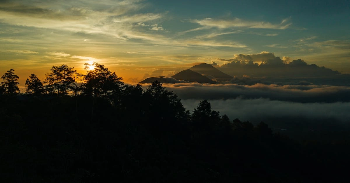 Игровой автомат Wild West Gold Megaways с ковбойской тематикой